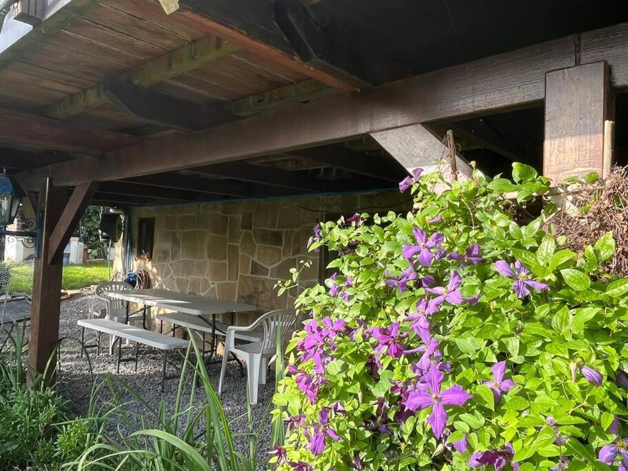 Studio Renove Rdc Terrasse Wepion Namur Zewnętrze zdjęcie