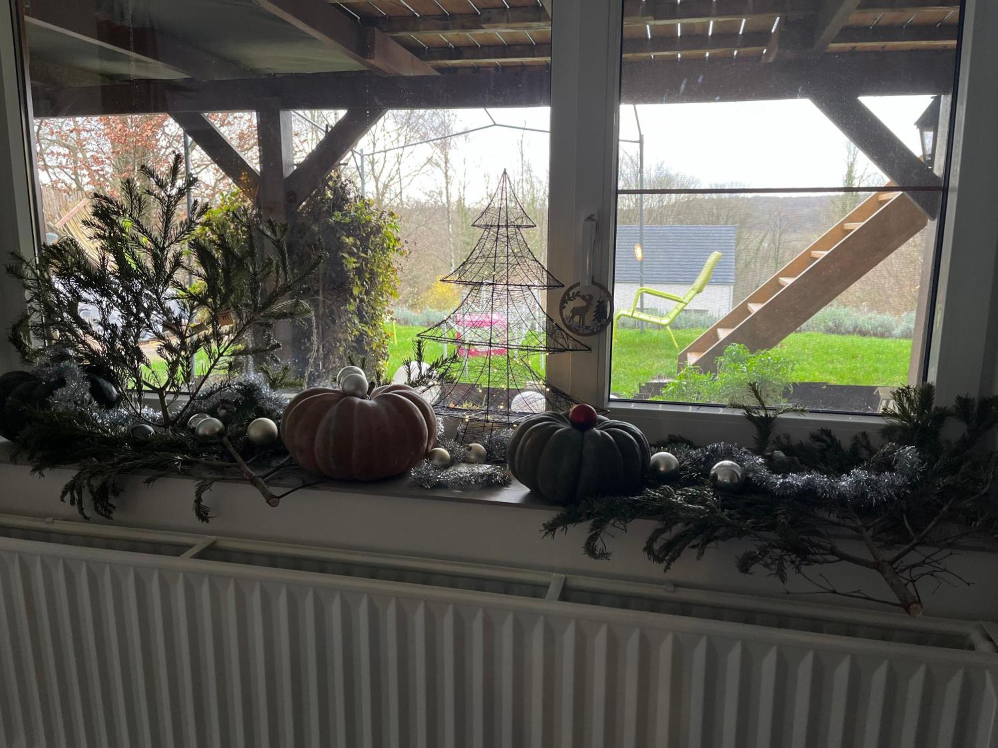 Studio Renove Rdc Terrasse Wepion Namur Zewnętrze zdjęcie