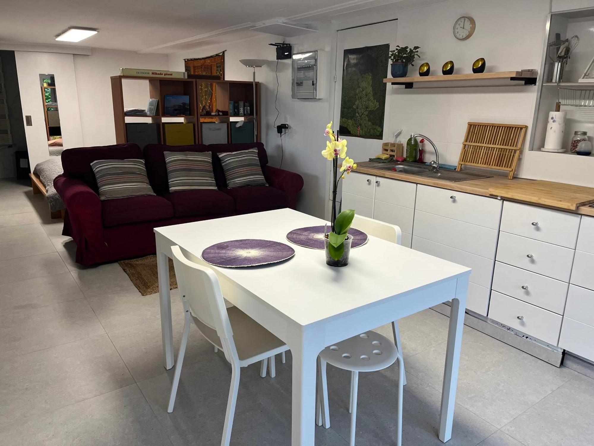 Studio Renove Rdc Terrasse Wepion Namur Zewnętrze zdjęcie
