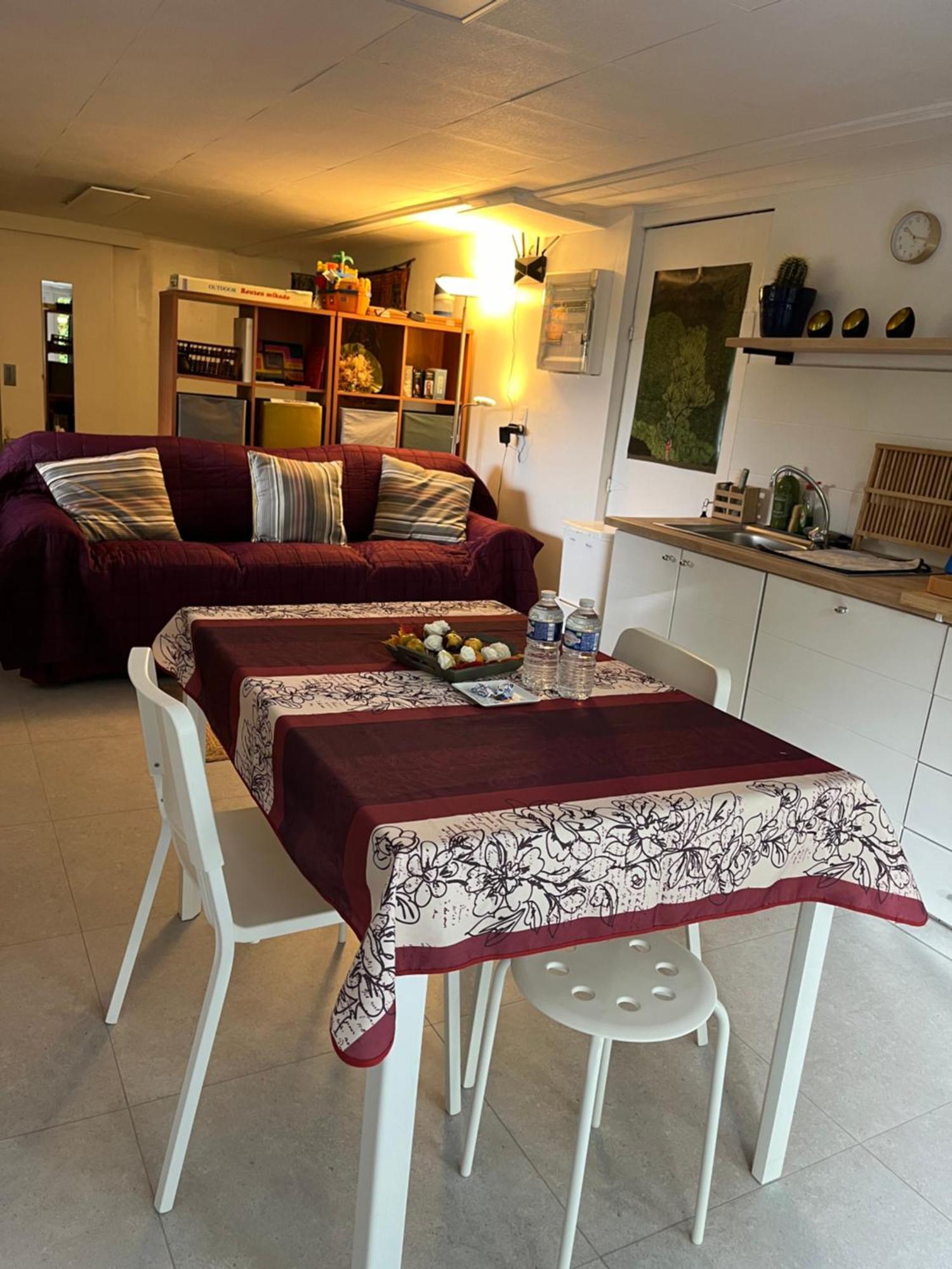 Studio Renove Rdc Terrasse Wepion Namur Zewnętrze zdjęcie